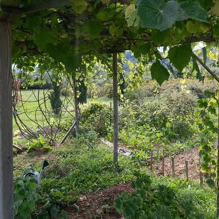 Prázdninový dům Eco Payzac (Ardeche)