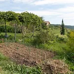 Eco