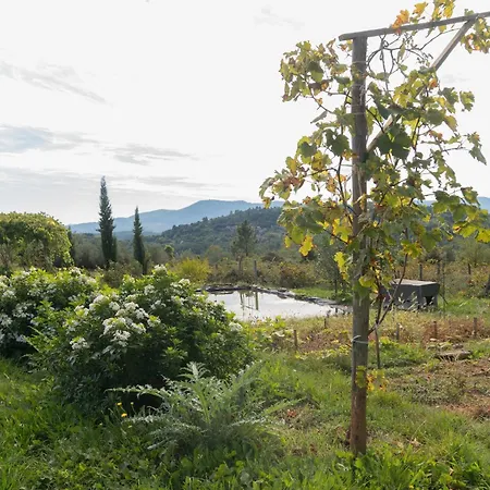 Eco Nyaraló *